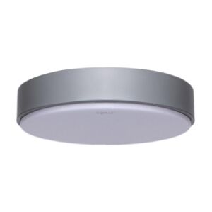 B.V.  - LED Stropné svietidlo LED/20W/230V 6500K šedá