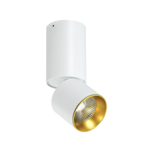 LED Stropné bodové svietidlo LED/10W/230V