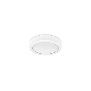 Brilum LED Stropné svietidlo ORTO 1xLED/24W/230V 3000K 28,5 cm