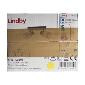 Lindby Lindby - Bodové svietidlo WANESSA 2xE14/10W/230V