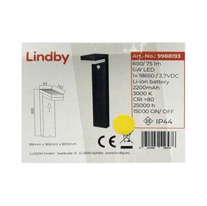 Lindby Lindby - LED Solárna lampa so senzorom CHIOMA LED/6W/3,7V IP44