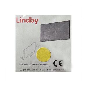Lindby Lindby - LED Stmievateľné nástenné svietidlo PEETU LED/9W/230V