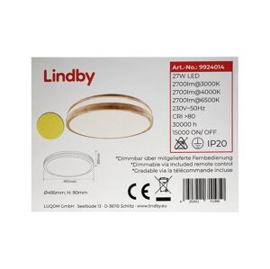 Lindby Lindby - LED Stmievateľné stropné svietidlo EMIVA LED/27W/230V