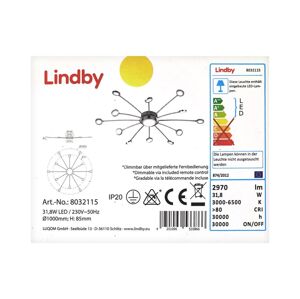 Lindby Lindby - LED Stmievateľný luster MERU 1xLED/6,6W/230V + 12xLED/2,1W/230V + DO