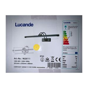Lucande Lucande - LED Obrazové svietidlo DIMITRIJ LED/10,8W/230V