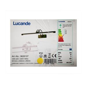 Lucande Lucande - LED Obrazové svietidlo DIMITRIJ LED/12W/230V