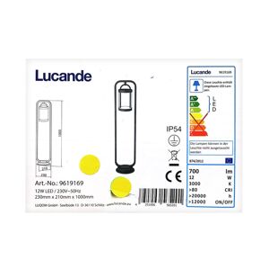 Lucande Lucande - LED Vonkajšia lampa CAIUS LED/12W/230V IP54
