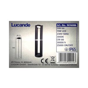 Lucande Lucande - LED Vonkajšia lampa DYLEN LED/15W/230V IP65