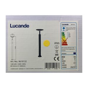 Lucande Lucande - LED Vonkajšia lampa FENIA LED/12W/230V IP65