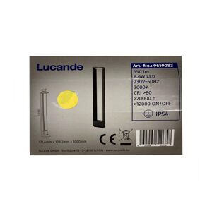 Lucande Lucande - LED Vonkajšia lampa JENY LED/8,6W/230V IP54