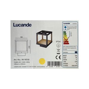 Lucande Lucande - LED Vonkajšia lampa LEALAND LED/10,8W/230V IP54
