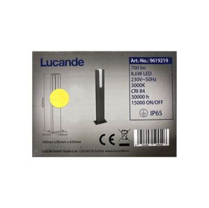 Lucande Lucande - LED Vonkajšia lampa VIRGALIA LED/8,6W/230V