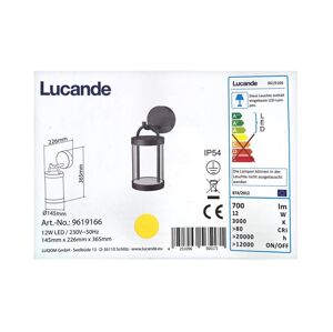 Lucande Lucande - LED Vonkajšie nástenné svietidlo CAIUS LED/12W/230V IP54