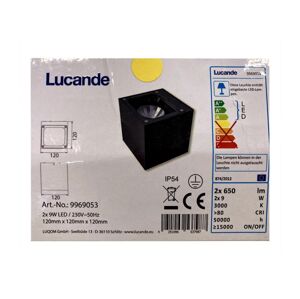 Lucande Lucande - LED Vonkajšie nástenné svietidlo MERJEM 2xLED/9W/230V